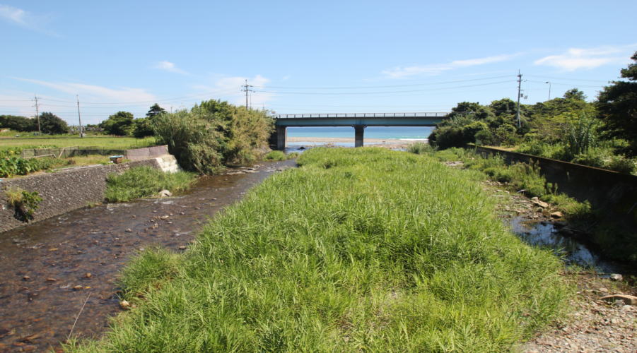 尾崎川